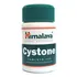 Přírodní produkt Himalaya Herbals Cystone 100 tbl.