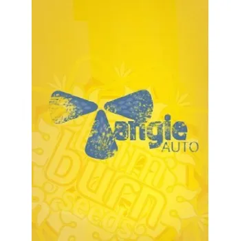 Semeno BlimBurn Seeds Tangie AUTO Počet ks Feminizované: 3