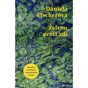 Želvou proti zdi - Daniela Fischerová…