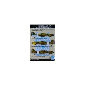 Plastikový model 1/48 Decals H.Hurricane Mk.I (Regia Aeronautica)