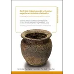 Centrální Českomoravská vrchovina na prahu vrcholného středověku - Petr Kočár, Petr Hejhal, Libor Petr, Petr Hrubý, Karel Malý