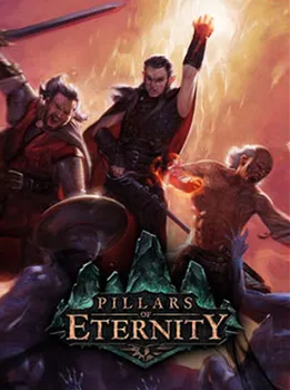 Počítačová hra Pillars of Eternity Hero Edition PC