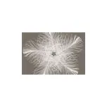 Fototapety Federstern Komar XXL4-006 rozměr 368 cm x 248 cm