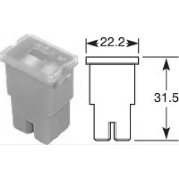 Autopojistky Pojistka 100A japonská AS