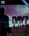 DayZ digitální verze PC