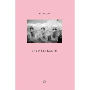 Poezie Před setřením - Jiří Feryna