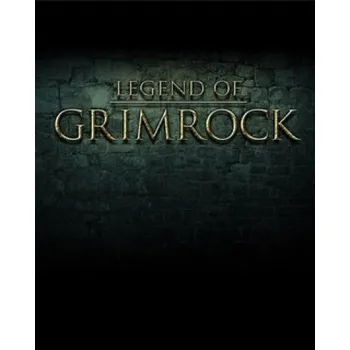 Počítačová hra Legend of Grimrock PC