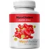 Přírodní produkt MycoMedica MycoCholest