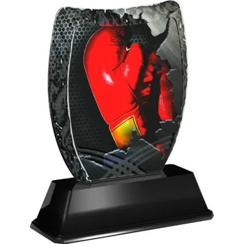Cinkili Akrylátová trofej ACE2001M23 Box Označení: C, Výška: 14 cm