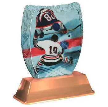 Cinkili Akrylátová trofej ACE2002M06 Hokej Označení: C, Výška: 14 cm