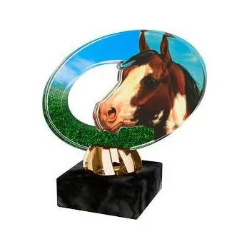 Cinkili Akrylátová trofej CACL2102M26 Dostihy Označení: C, Výška: 11 cm