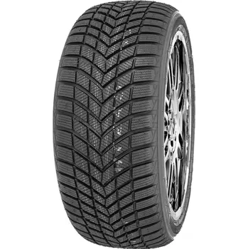Zimní osobní pneu Infinity Ecozen 205/50 R17 93 V XL