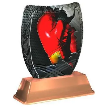 Cinkili Akrylátová trofej ACE2002M23 Box Označení: C, Výška: 14 cm