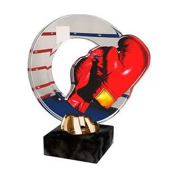 Cinkili Akrylátová trofej CACL2101M21 Box Označení: C, Výška: 12 cm