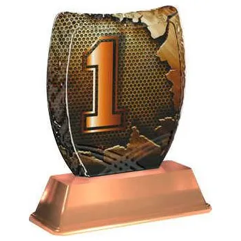 Cinkili Akrylátová trofej ACE2002M45 1.Místo Označení: C, Výška: 14 cm