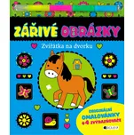 Zářivé obrázky: Zvířátka na dvorku -…