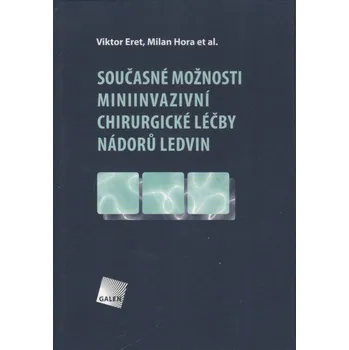 Současné možnosti miniinvazivní chirurgické léčby nádorů ledvin - Viktor Eret a kol.