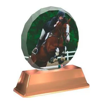 Cinkili Akrylátová trofej ACE0003M34 Dostihy Označení: C, Výška: 13 cm