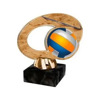 Cinkili Akrylátová trofej CACL2102M19 Volejbal Označení: C, Výška: 11 cm