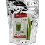 Zdravý den Mladý ječmen 250 g