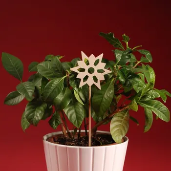 Vánoční dekorace Zápich - Hvězdička č.8