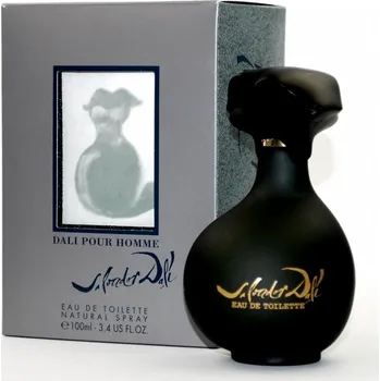 Pánský parfém Salvador Dali pour Homme EDT