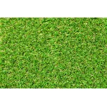 NamGrass Green Oasis