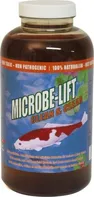 Microbe-lift Clean & Clear