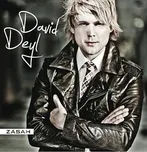 Zásah - David Deyl [CD]