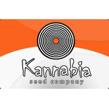 Semeno Kannabia seeds Kaboom aka La Reina de Africa Počet ks Feminizované: 1