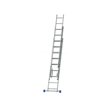 G21 6390389
