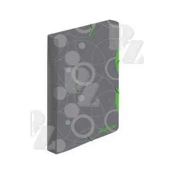 Archivační box Box A4 s gumou Neocolori šedo-zelená 2-522, Karton P+P