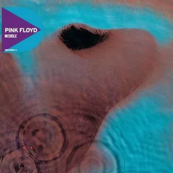 Zahraniční hudba Meddle - Pink Floyd (LP)