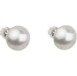 Evolution Group 31142.1