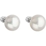 Evolution Group 21005.1