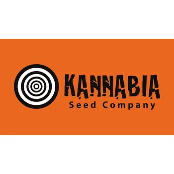 Semeno Kannabia seeds Diesel Glue Počet ks Feminizované: 1