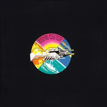 Zahraniční hudba Wish You Were Here - Pink Floyd [LP]