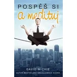 Pospěš si a medituj - David Michie