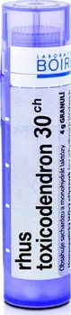 Homeopatikum Boiron Rhus Toxicodendron 30CH 4 g