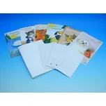 Dopisní sada bílá 10 + 10