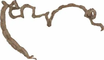 Dekorace do terária Lucky Reptile Amazonská liána široká 2-4 cm