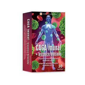 Přírodní produkt Synergia Čaga Imunal + brusinky 30 cps.