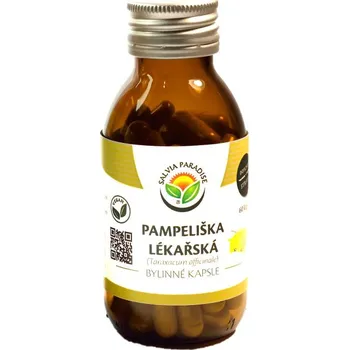 Salvia Paradise Pampeliška lékařská, 60 cps.