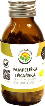 Přírodní produkt Salvia Paradise Pampeliška lékařská