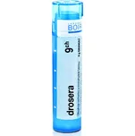 BOIRON Drosera 9CH 4 g