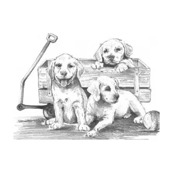 Malování podle čísel SKICOVACÍMI TUŽKAMI Štěňátka