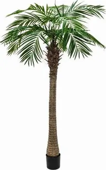 umělá květina Europalms Phoenix palma Luxor 150 cm