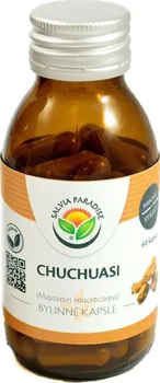 Přírodní produkt Salvia Paradise Chuchuasi