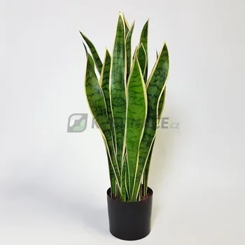 umělá květina Umělá Sansevieria Yellow 80cm + doprava zdarma