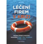 Léčení firem v krizi - Karásek Petr